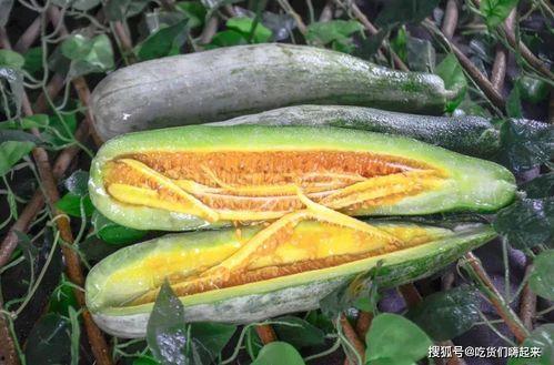 浙江网红吃瓜大合集,揭秘网络红人的幕后故事